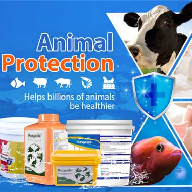 Indústria da desinfecção animal com produtos da desinfecção